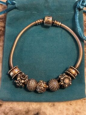 Pandora Sterling Silver Charm Bracelet with 925 ALE Retired Charms